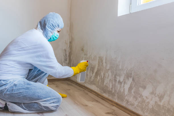 Mold inspector in Somerville performing thermal imaging
